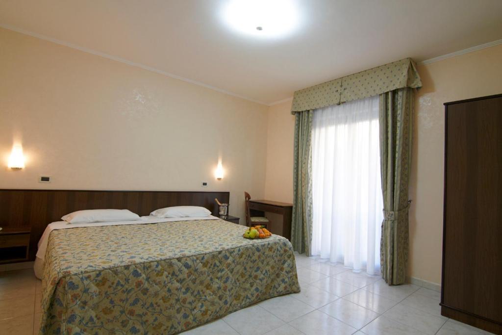 Primula 3*